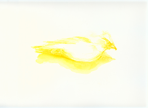 painting_elegy_bird2